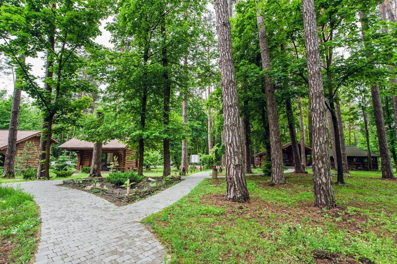 Forest Hut Stariy Prud Pylypovychi Exteriér fotografie